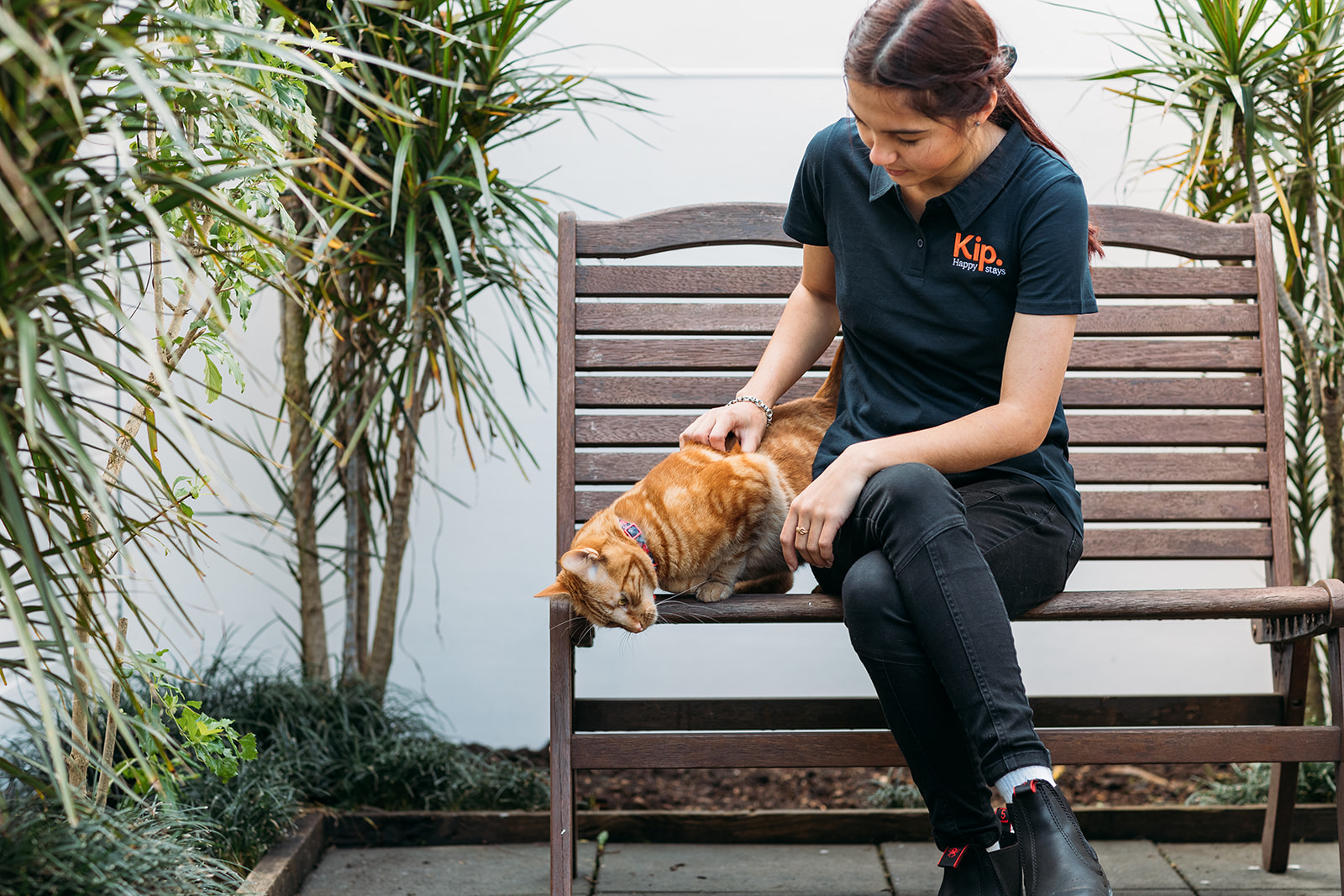 Peaceful Cattery for Felines