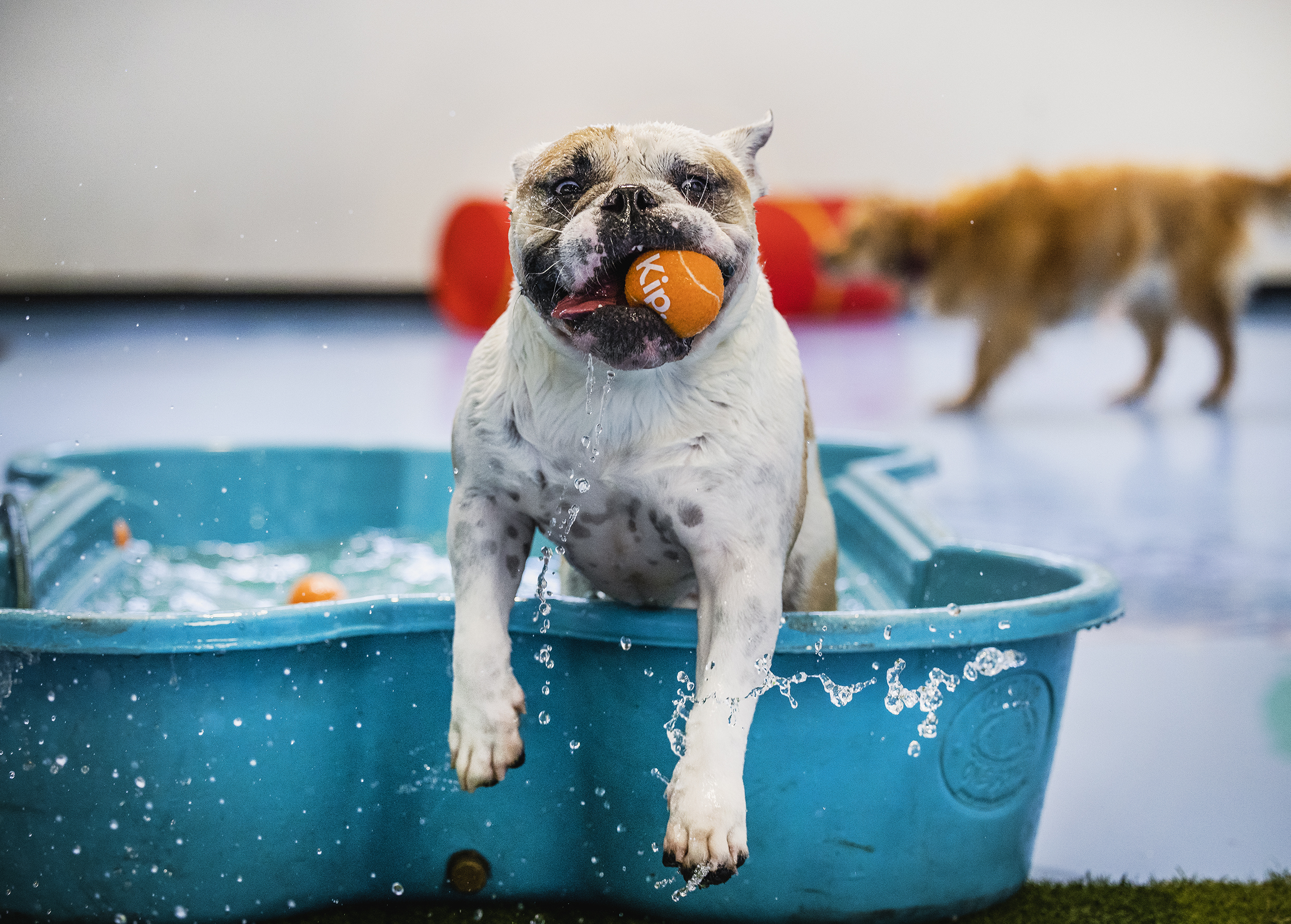 Experienced Staff, Safe Space, Structured Routine, and Fun Activities