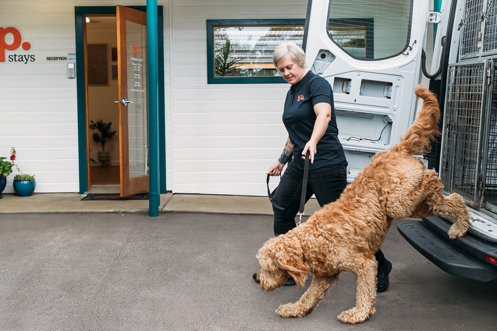 Pet Boarding Central Coast