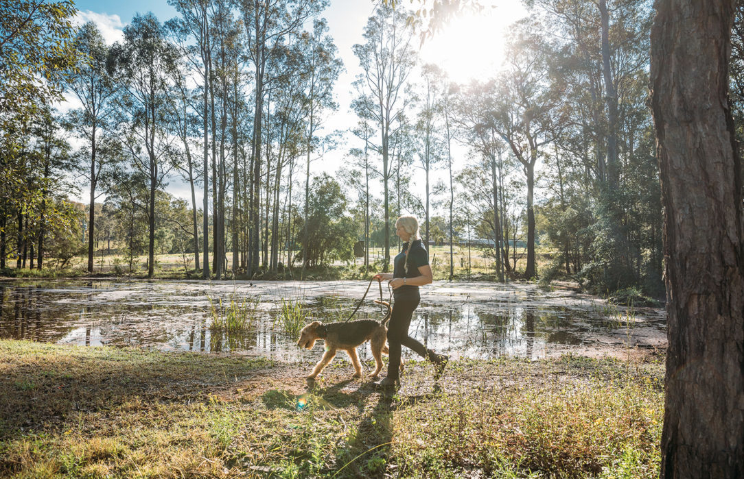 Dog Boarding Hunter Valley