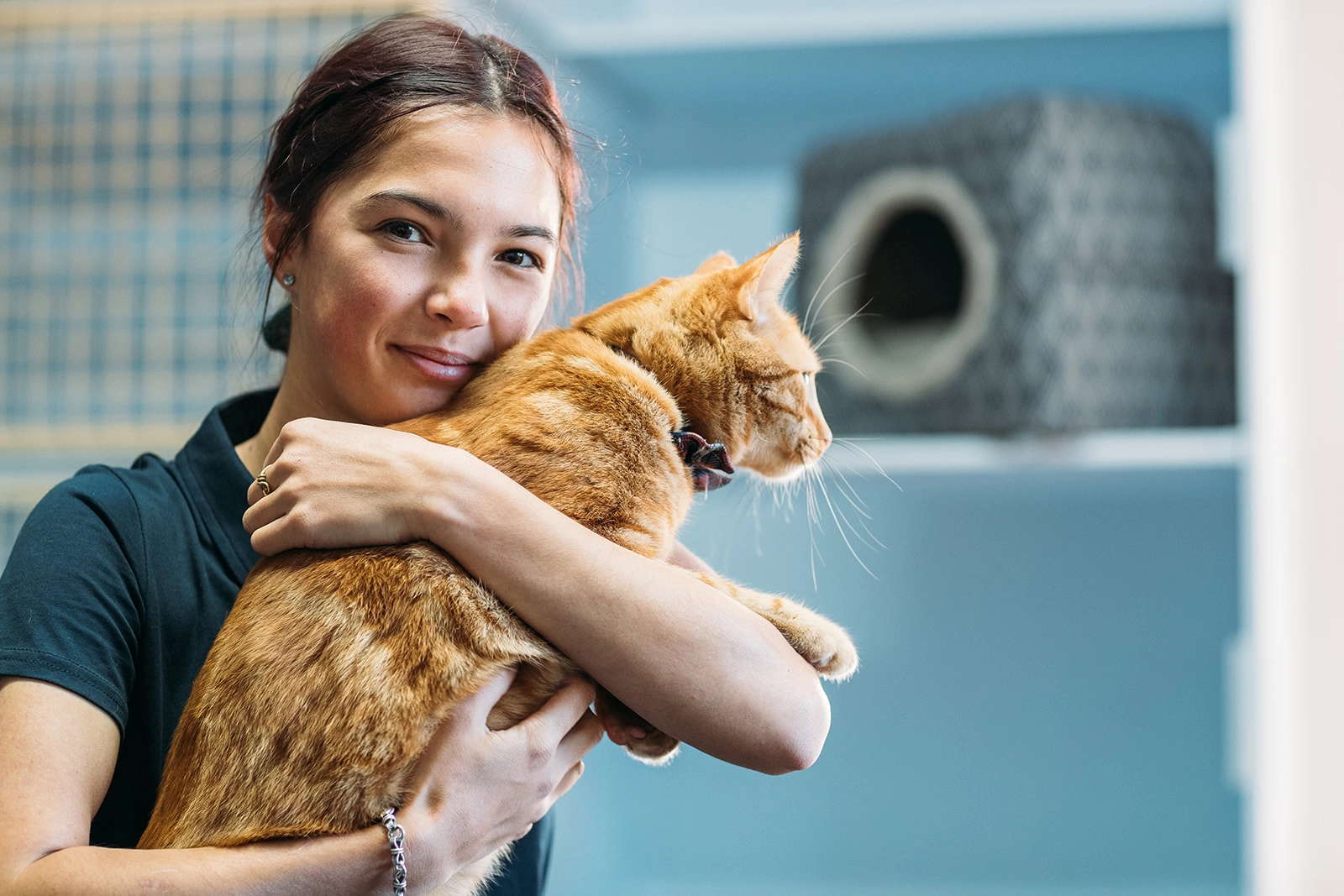 Pet Boarding Newcastle: for Cats