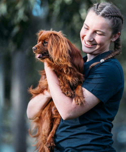 At Kip, we're reinventing Sydney dog boarding