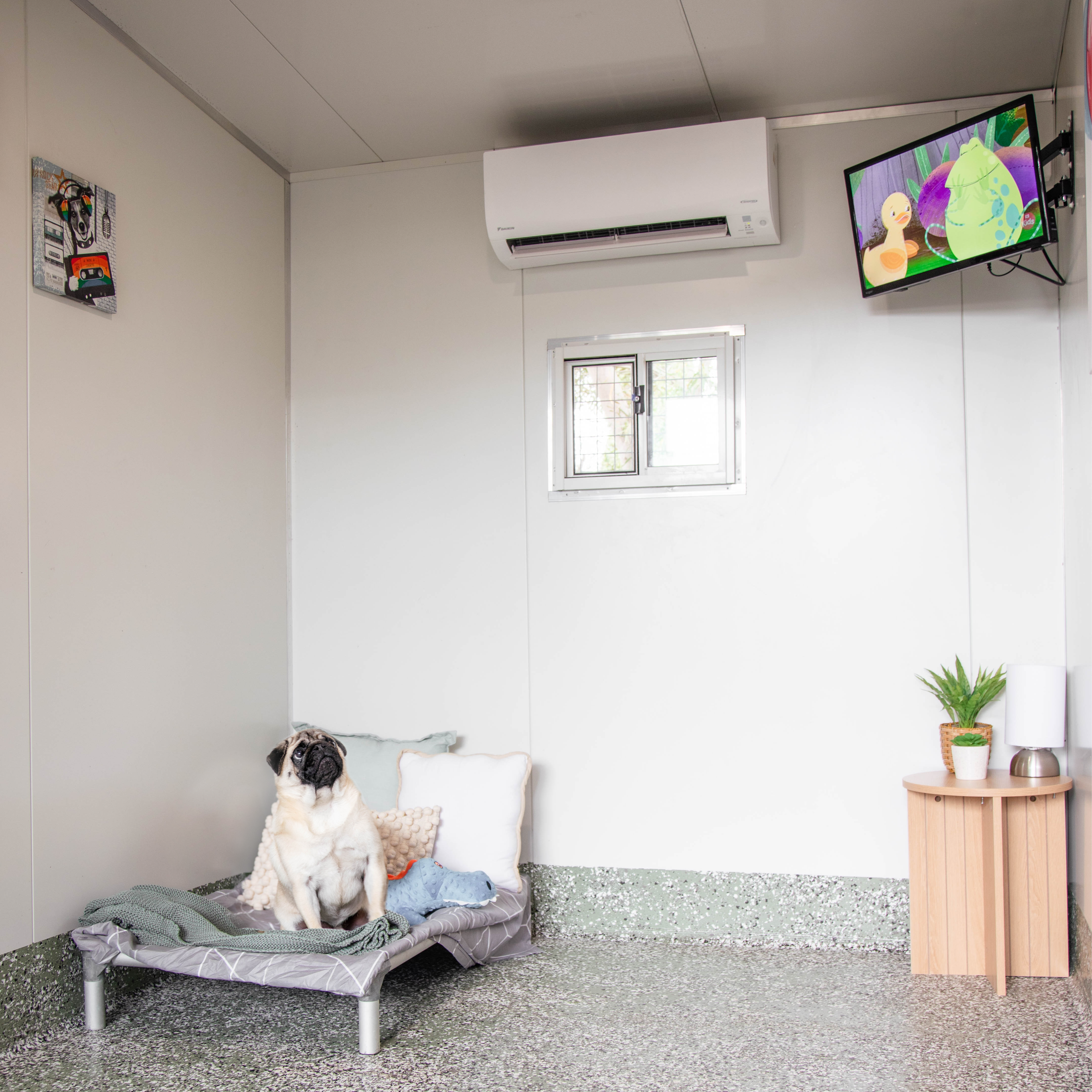 Your dog will love a Luxury Villa