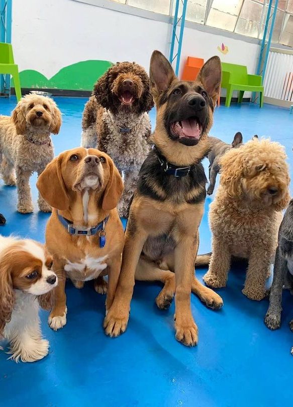 Trial Day Requirements