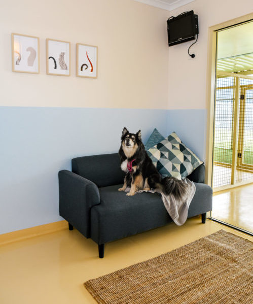 Our Rooms in Adelaide