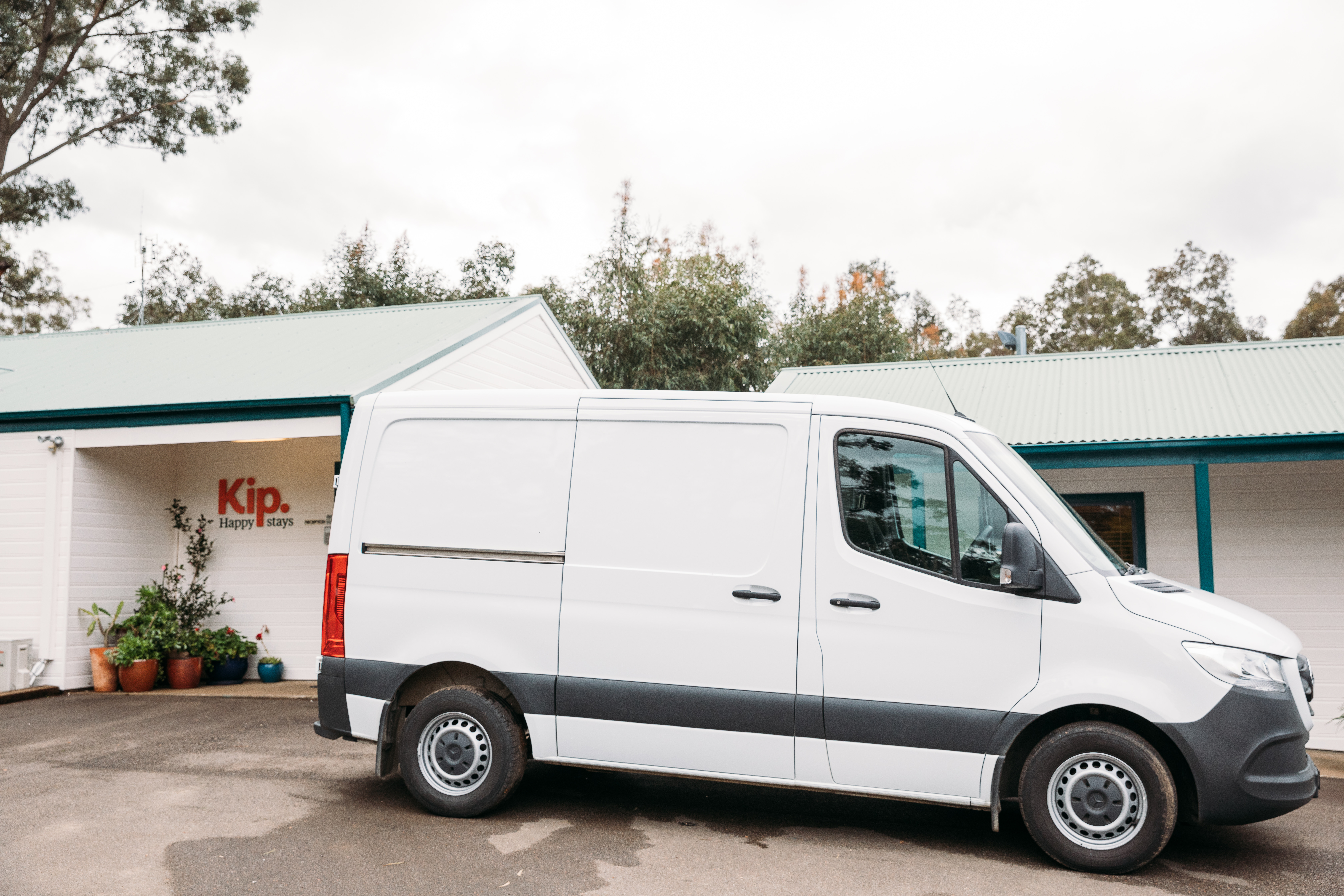 Getting your pet chauffeured from Sydney