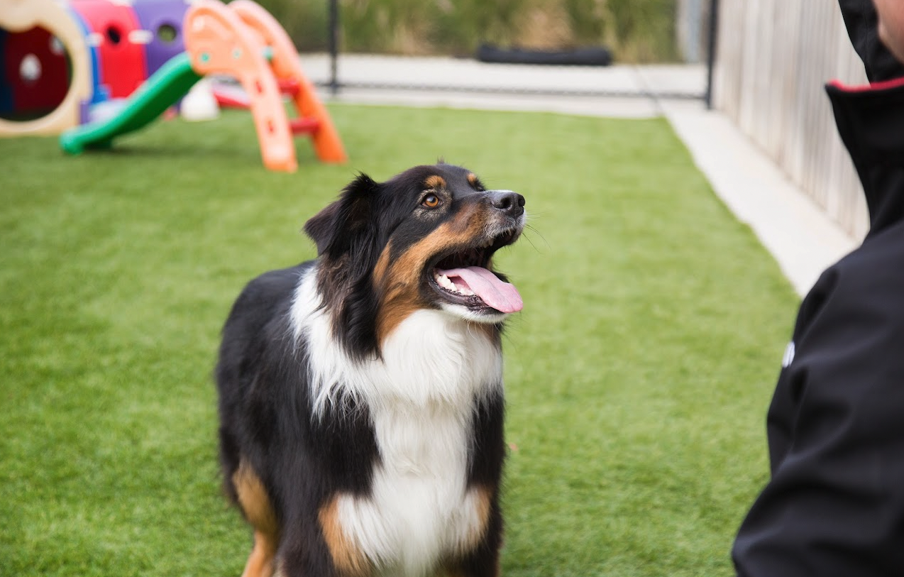 Kip Melbourne South East