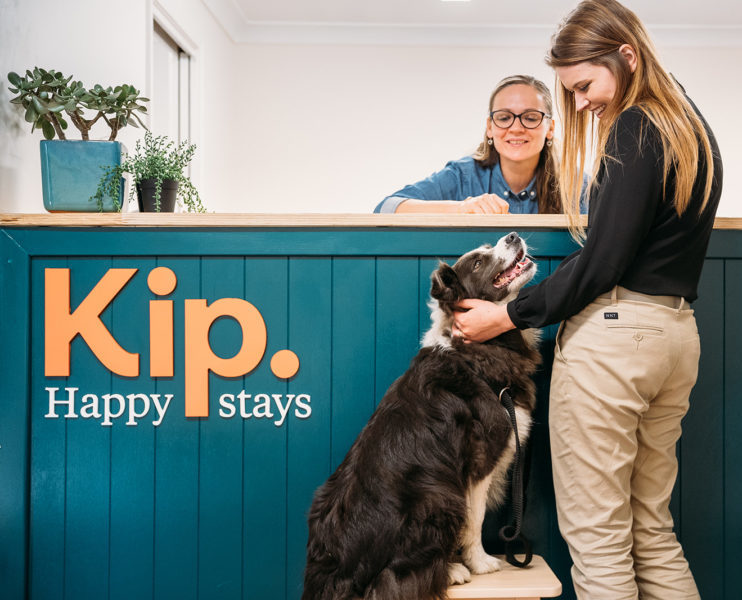 Dog Boarding with Kip Hunter Valley